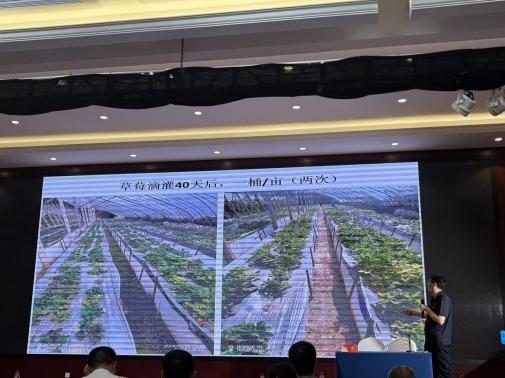 图片13.png 图片13.png